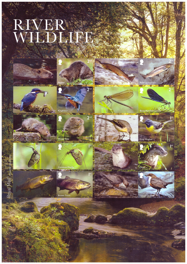 (image for) LS153 2023 River Wildlife Royal Mail Generic Smilers Sheet