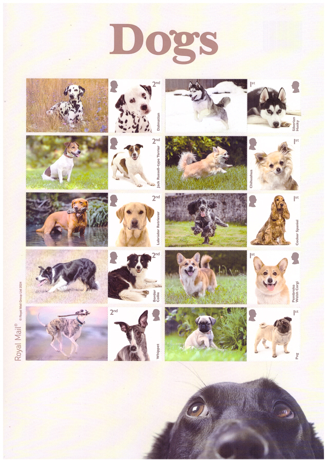 (image for) LS162 2024 Dogs Royal Mail Generic Smilers Sheet