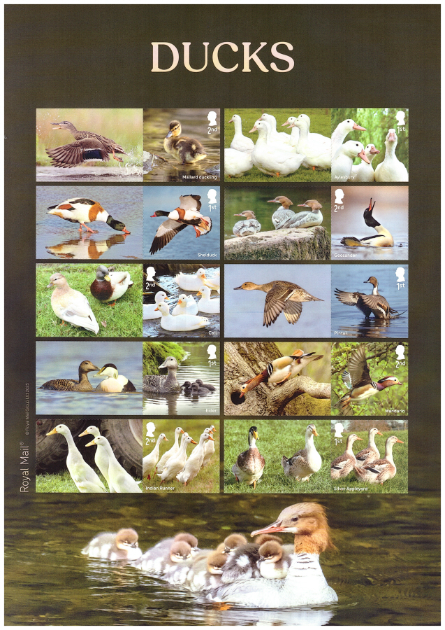 (image for) LS176 (TBC) 2025 Ducks Royal Mail Generic Smilers Sheet
