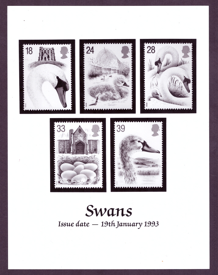 (image for) 1993 Swans monochrome Royal Mail press publicity photograph. Circa 165mm x 215mm.