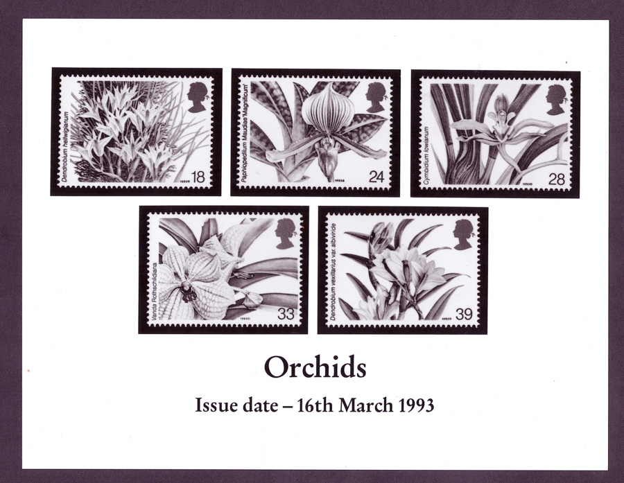 (image for) 1993 Orchids monochrome Royal Mail press publicity photograph. Circa 215mm x 165mm.